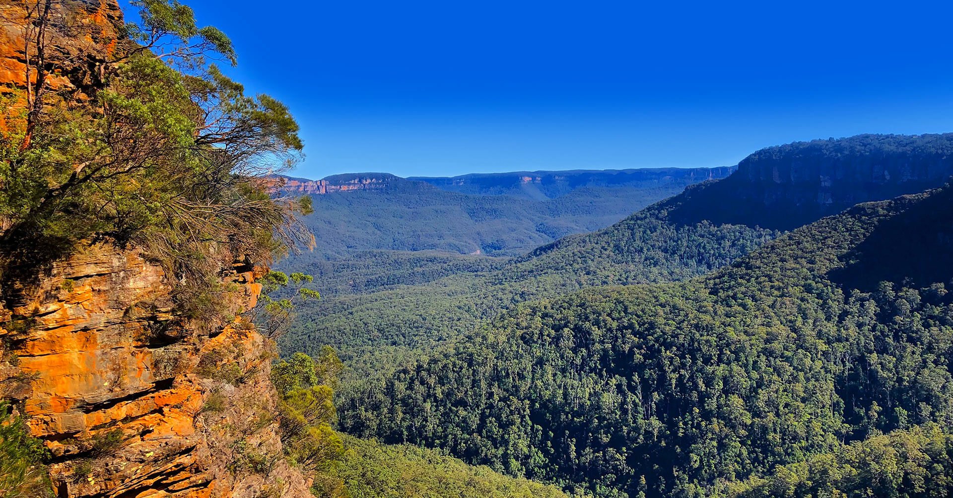 Premium private day tour Blue Mountains from Sydney